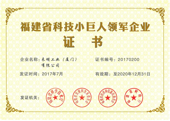 Fujian Science and Technology Little Giant Leading Enterprise Certificate